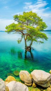 流光溢彩的城市梦