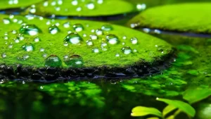 细节之处见真情的温暖