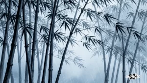 水墨竹林听雨 做个视频